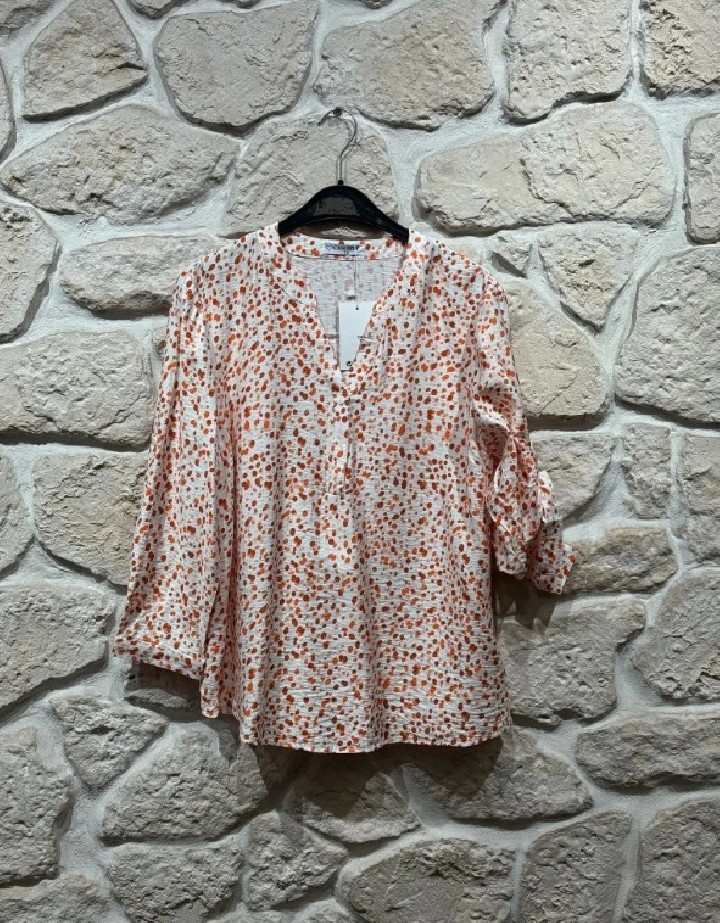 Blouse  grande taille